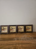 Lot de 4 mini cadres décoratifs "Canards en vol" – Style campagne