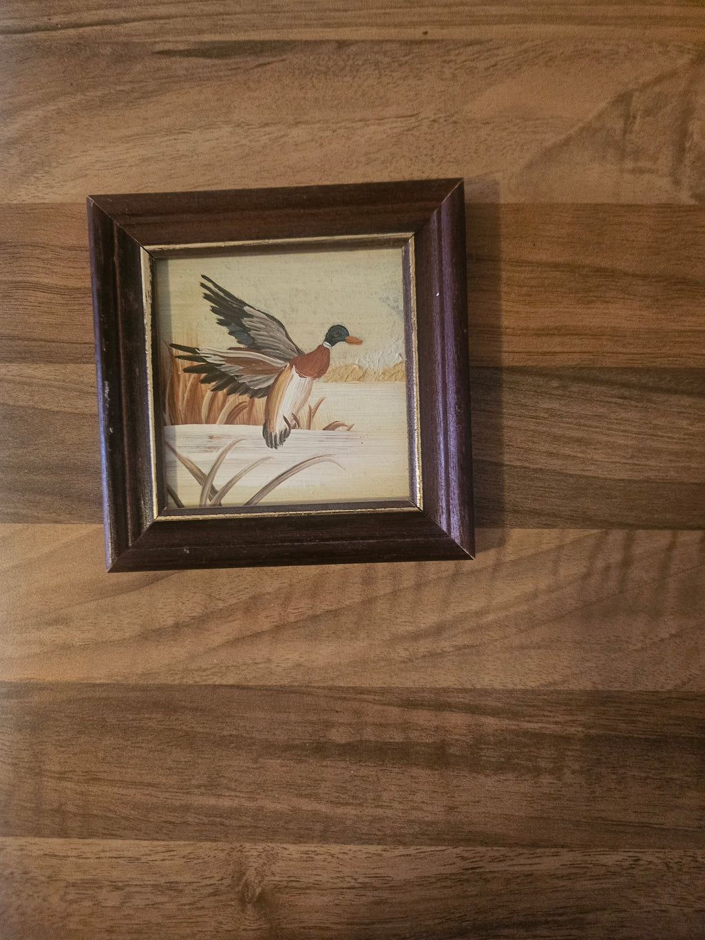 Lot de 4 mini cadres décoratifs "Canards en vol" – Style campagne
